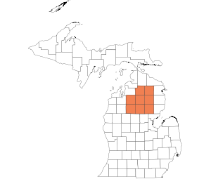 North Central Lower Peninsula