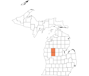 Mecosta/Osceola