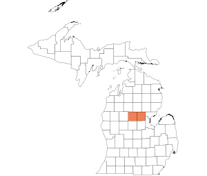 Clare/Gladwin