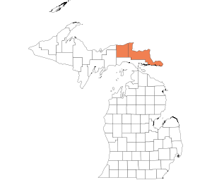 Eastern UP