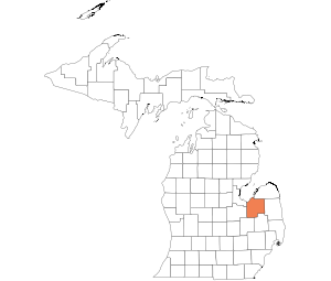 Tuscola