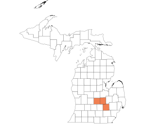 Central Lower Peninsula