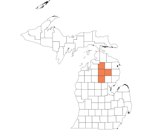 North Central Lower Peninsula