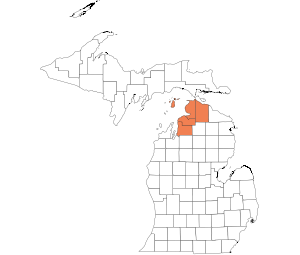 North Western Lower Peninsula