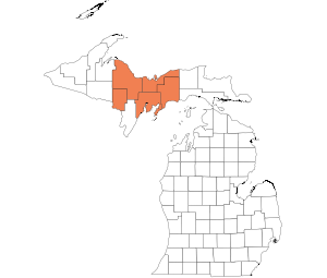 Central Upper Peninsula