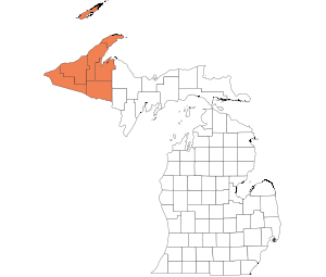 Western Upper Peninsula